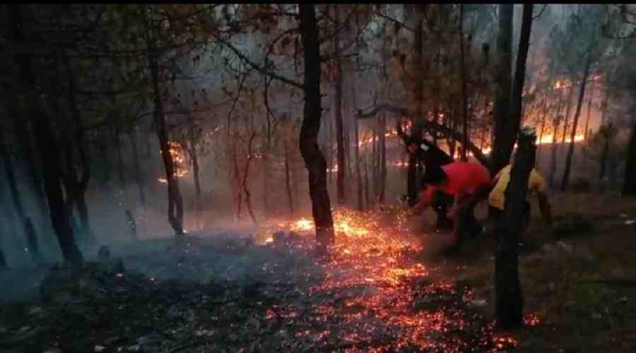 प्रदेश में धधक रहे जंगल, वन विभाग के छुटे पसीने, जंगल में आग की 373 घटनाएं आयी सामने, वन संपदा को हुआ भारी नुकसान