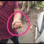 सचिवालय में स्कूटी के अंदर सांप, कर्मचारियों में मचा हड़कंप